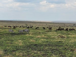 7 Days Kenya wildlife safari