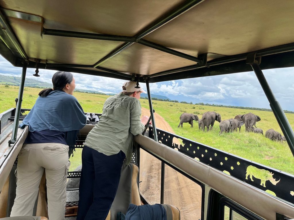 8 Days honeymoon safari in Uganda