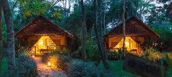 Kibale Forest Camp near Kanyanchu