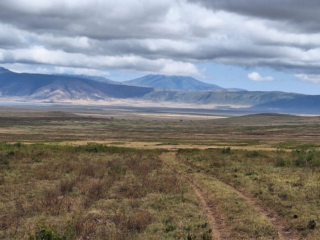 14 Days Tanzania & Kenya Wildebeest Migration Safari