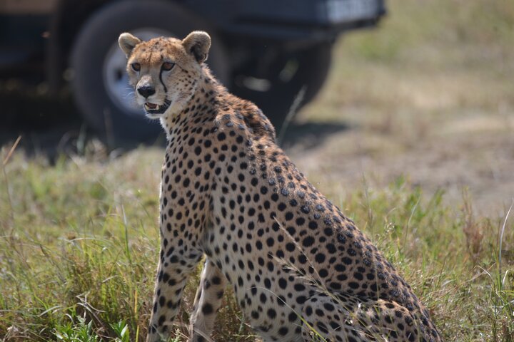 30 Days East African Combined Safari