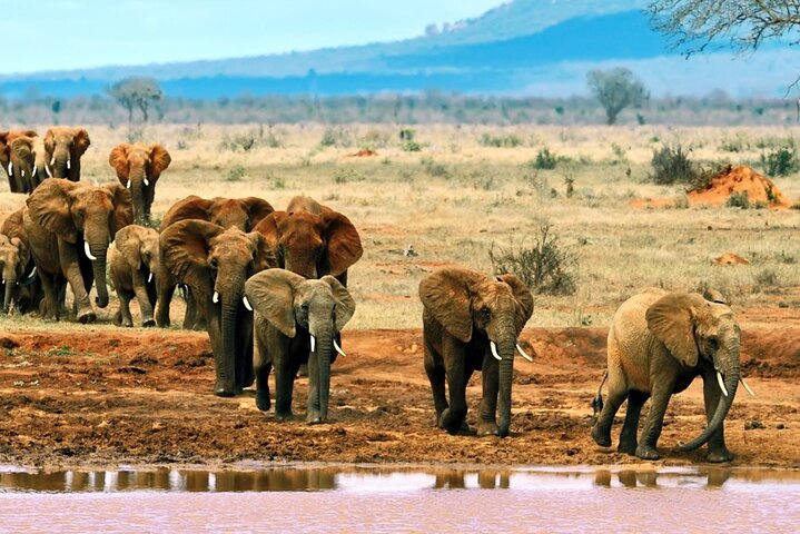 Tsavo East National park