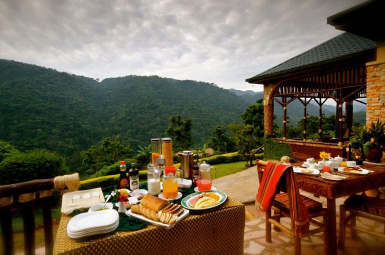 Midrange lodges in Bwindi Forest