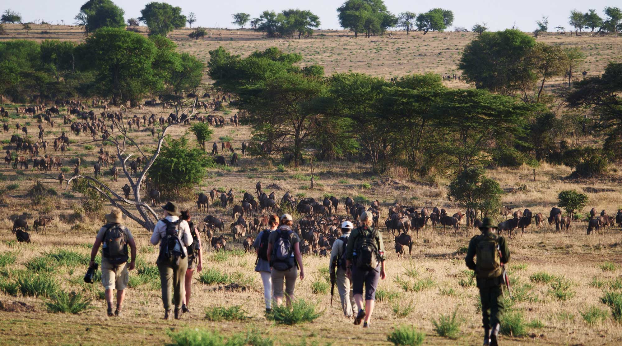 Walking safari southern Serengeti Tanzania Ndutu area