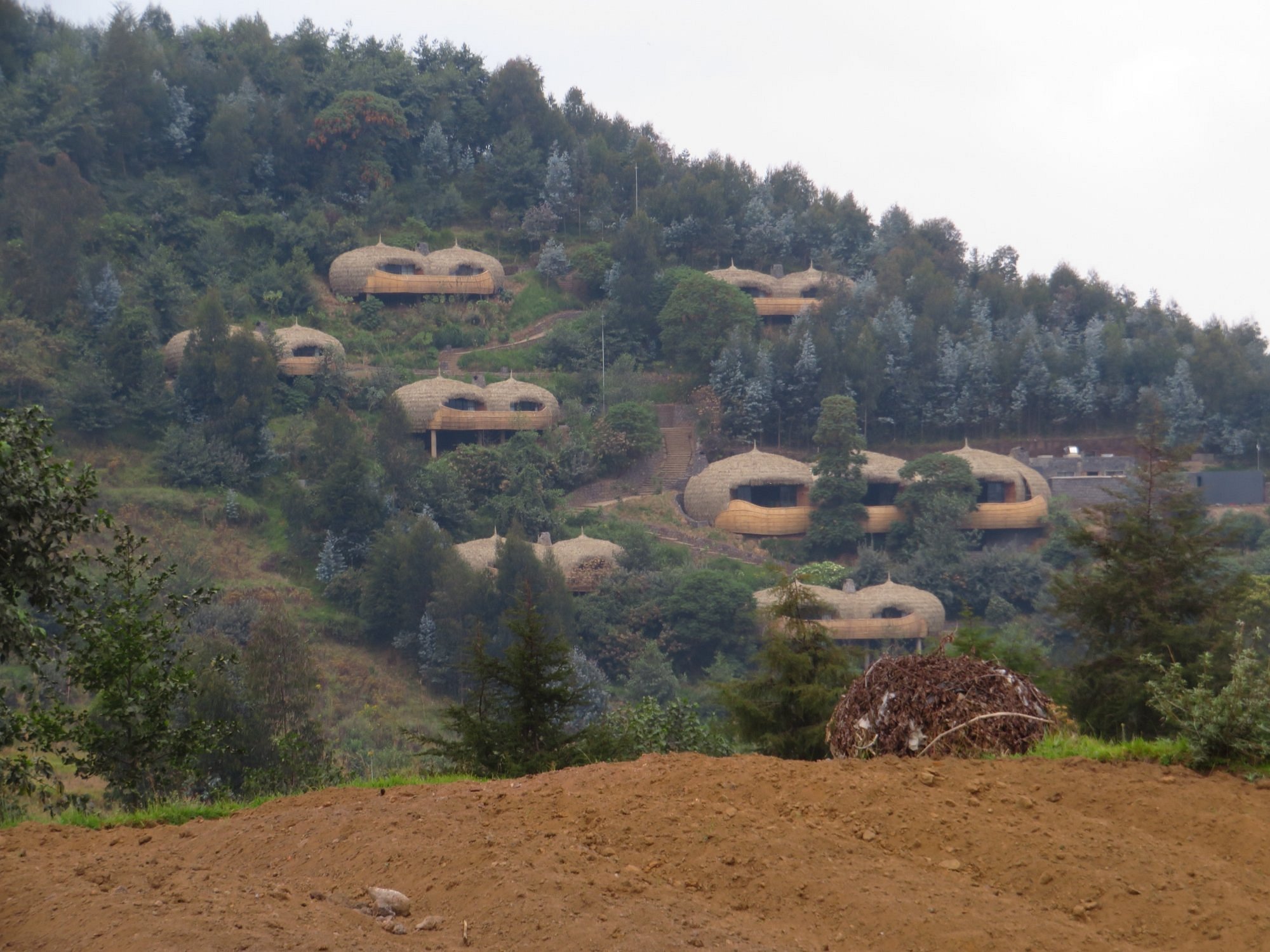 Bisate Luxury Lodge