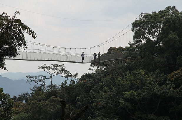 30 Days East African Safari