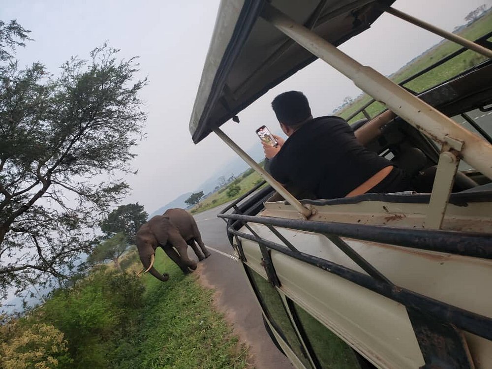 Honeymoon safaris in Uganda
