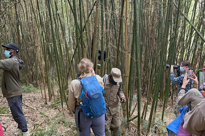 Mgahinga Gorilla National Park