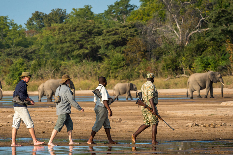 Walking safari northern Serengeti Tanzania on foot