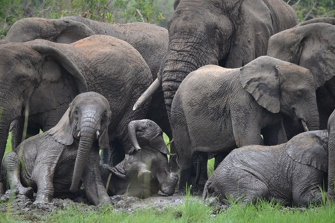 Akagera National Park