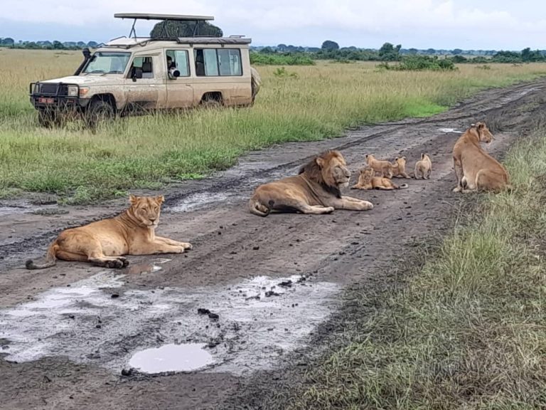 Queen Elizabeth National Park
