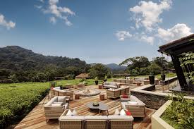 Best lodges in Nyungwe Forest Park