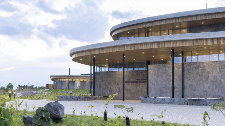 Gorilla fund International