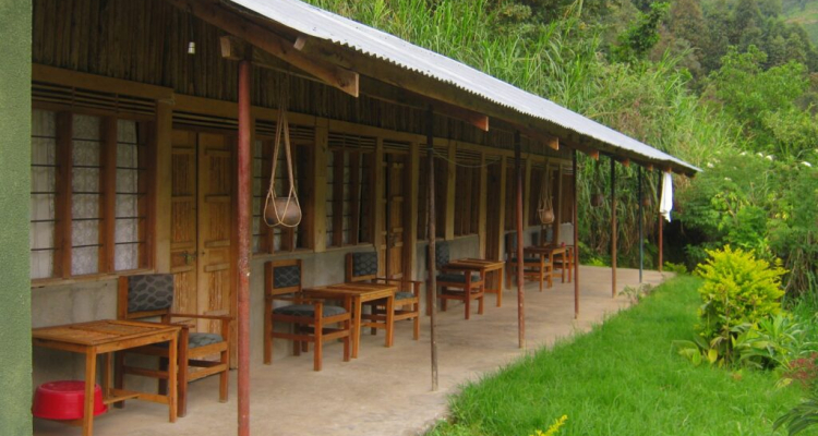 Lodges in Rwenzori Mountains