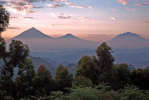 Virunga Mountains — the volcanic range shared by Uganda, Rwanda and DRC