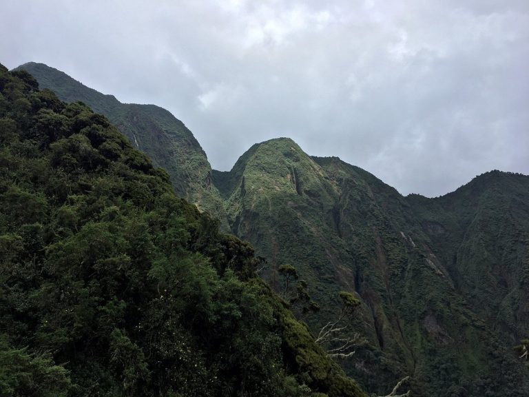 Volcano climbing in Mgahinga Gorilla Park