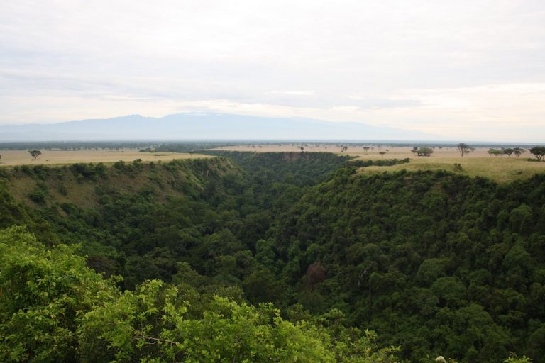 Attractions in Kyambura Gorge