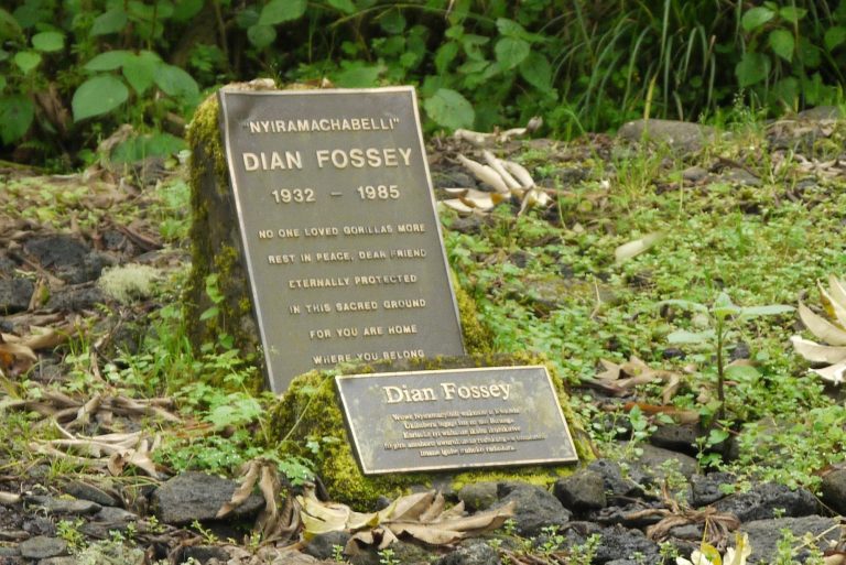 Dian Fossey graveyard hike