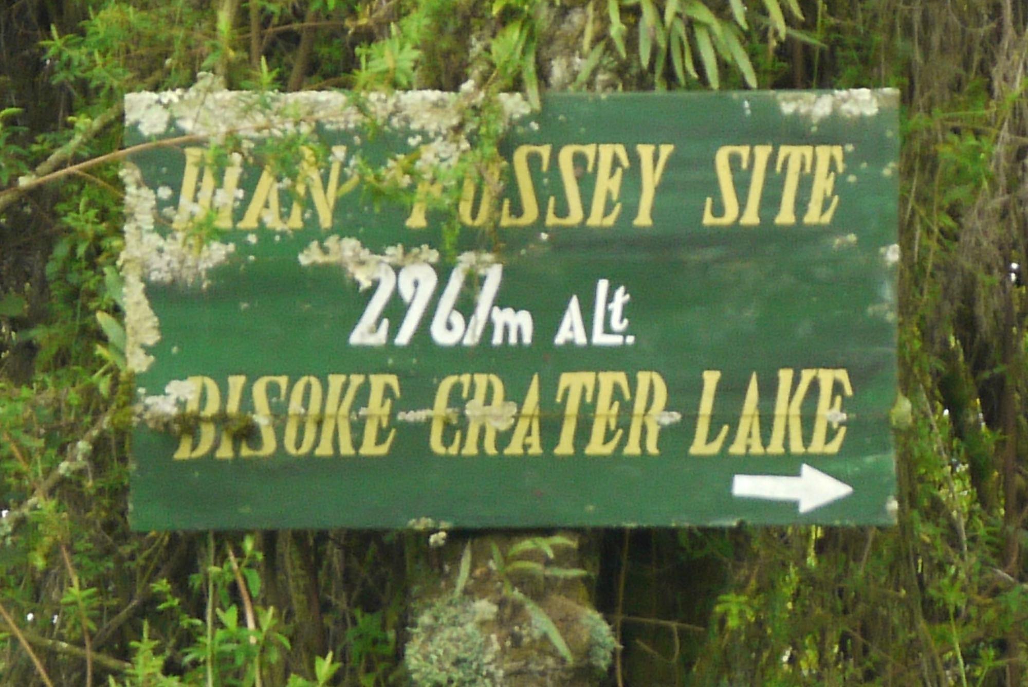Dian Fossey Hike
