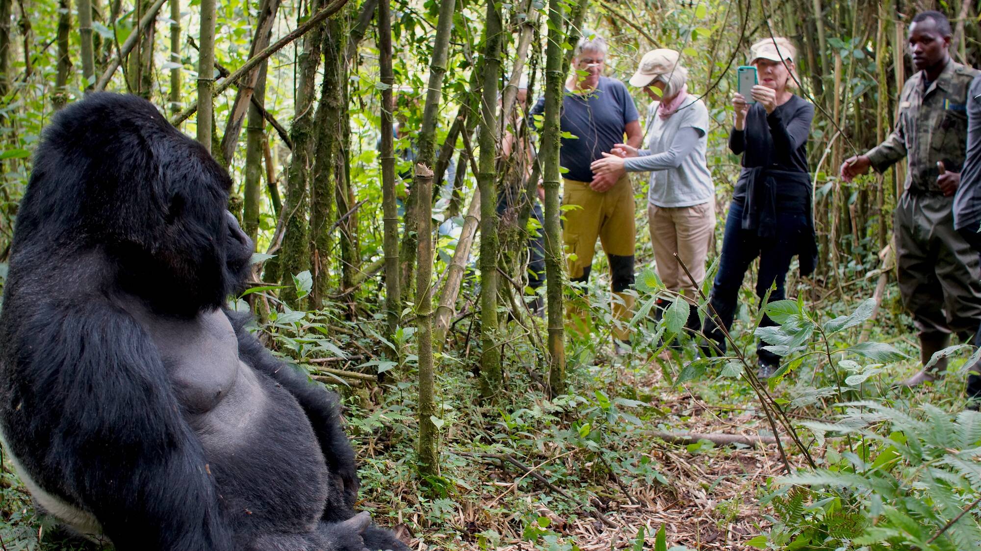 Dian Fossey Graveyard hike