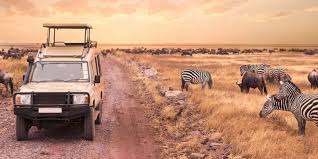 Self Drive Safaris in Rwanda