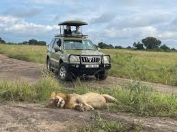 Self Drive Safari Tips in Rwanda