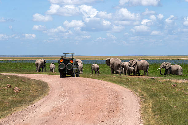 Driving in kenya's Parks