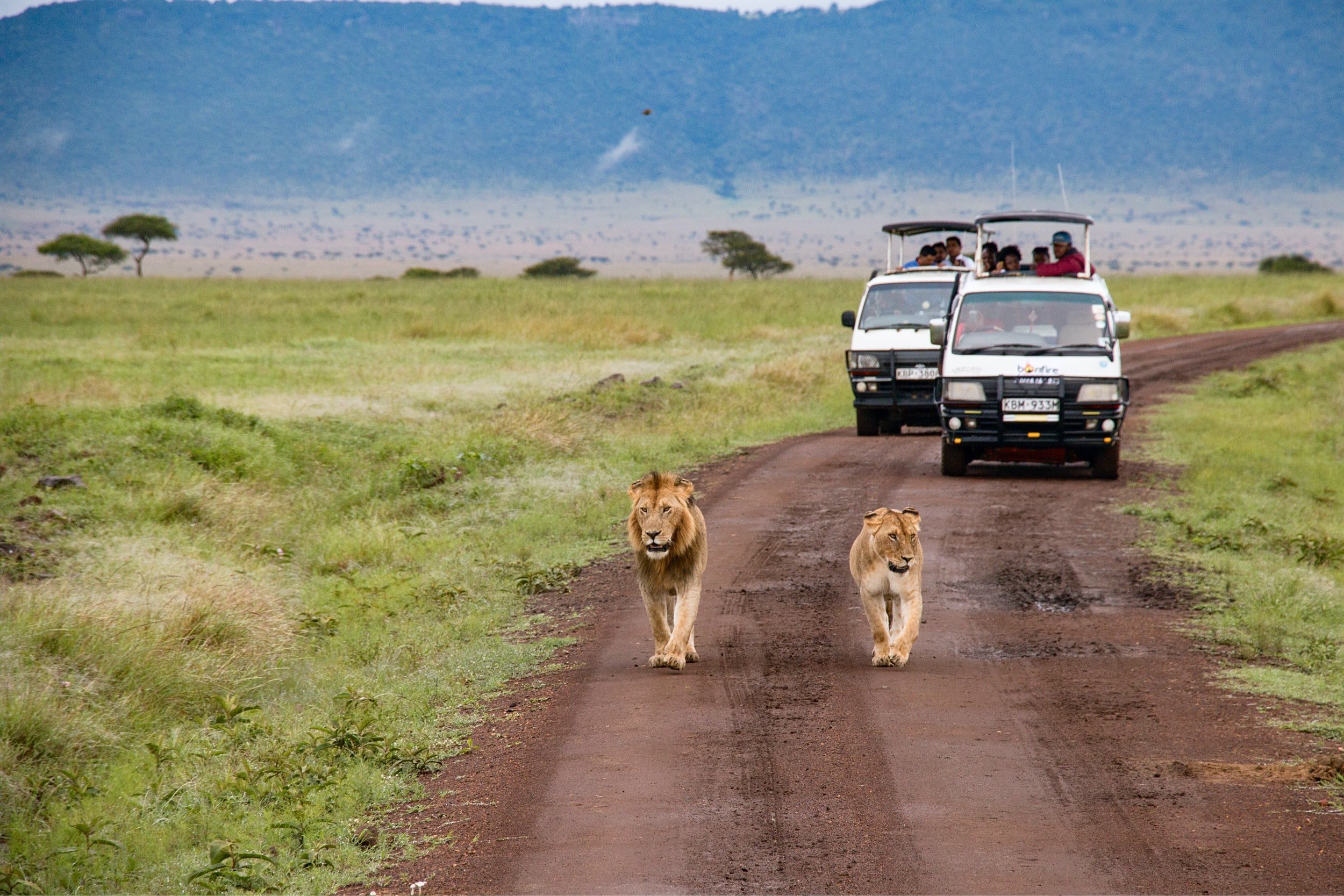 Distance between kenya's safari parks
