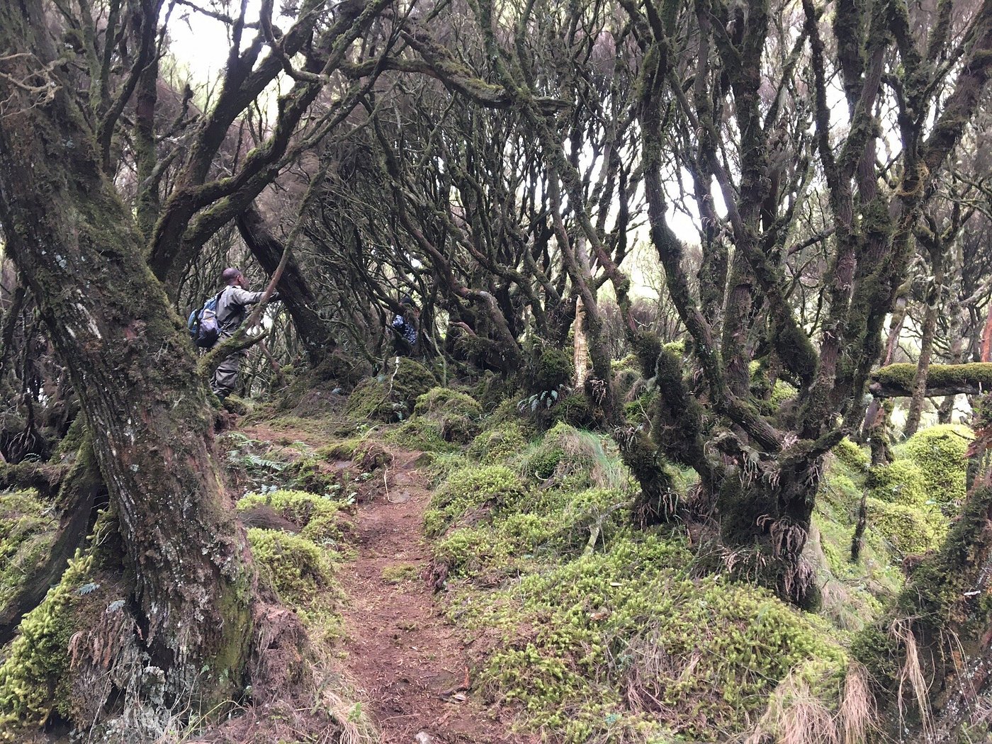 Sebyinyo hiking guide