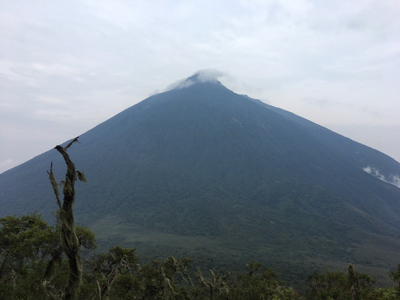 Gorilla trekking addons in Mgahinga