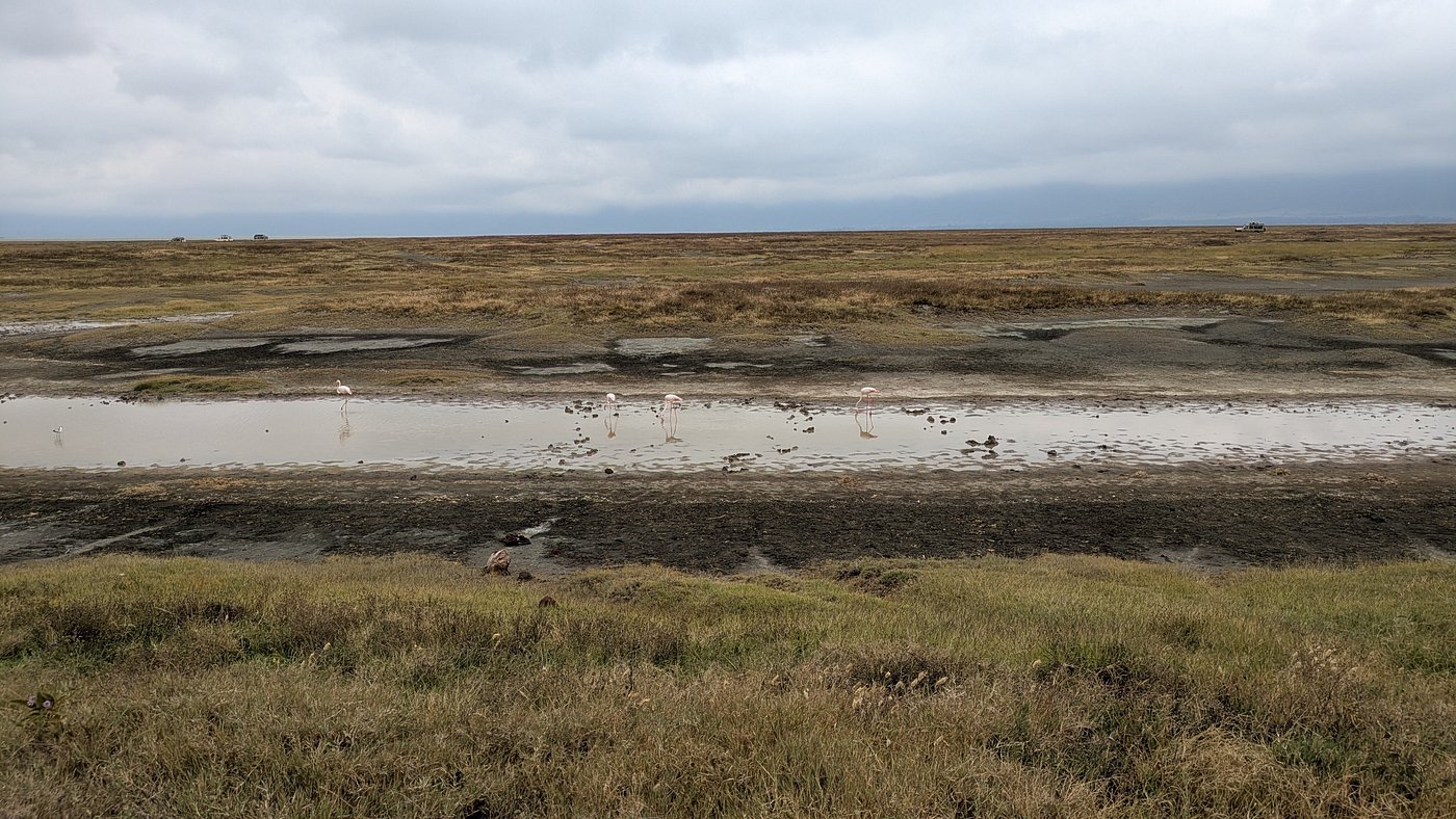 25 Days East Africa Honeymoon Safari