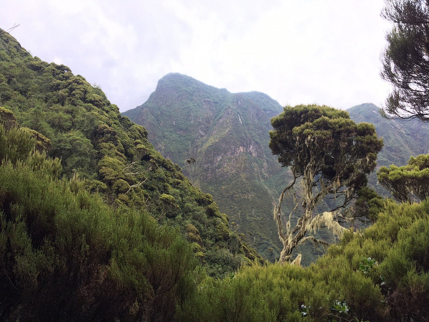 Mount Sabyinyo hiking