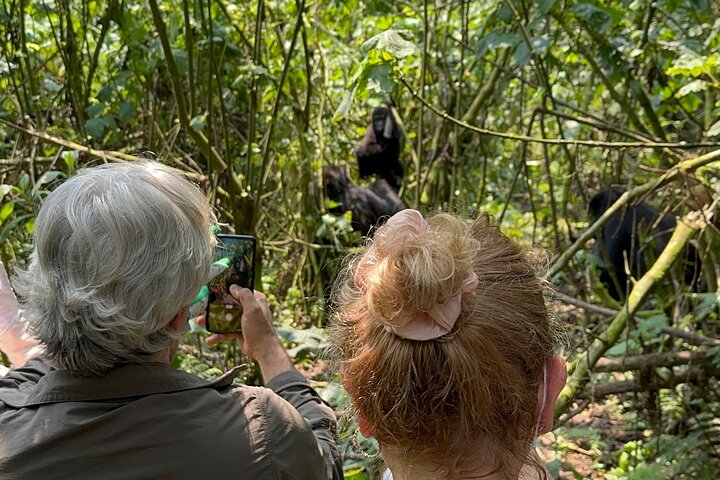 Uganda gorilla safaris from Australia