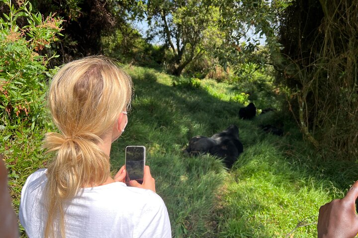 Who is allowed to trek gorillas