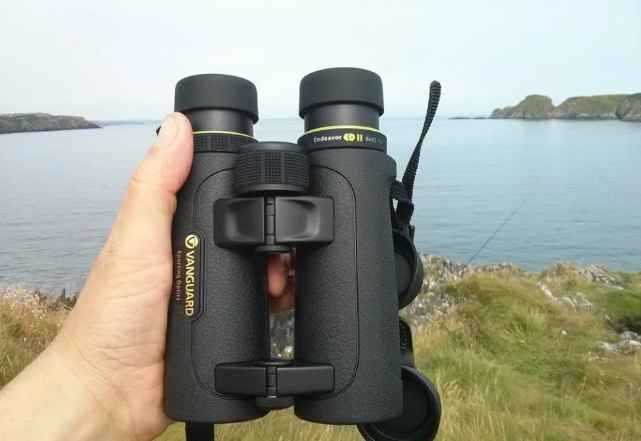 Birding Safaris in Queen Elizabeth National Park