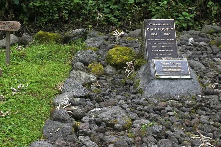 4 Days Rwanda Gorillas & Dian Fossey Hike