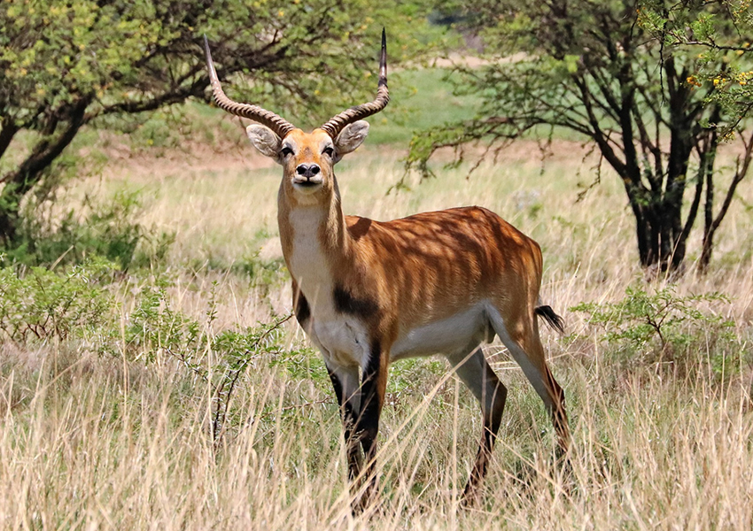 Kigezi Game Reserve
