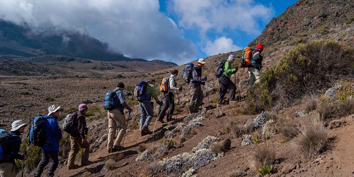 Mount Kilimanjaro Tanzania safari and trekking itinerary