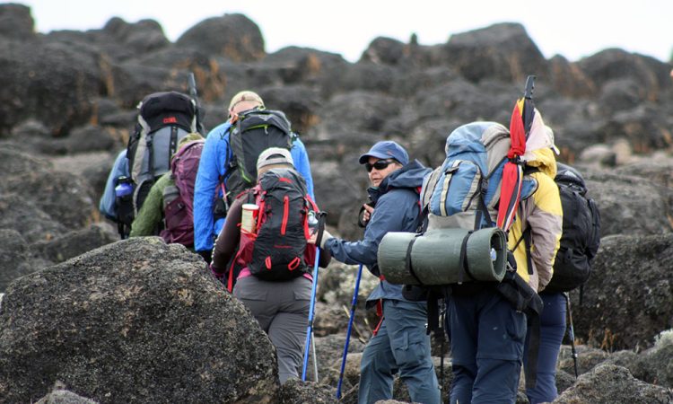 Mount Kilimanjaro Hiking