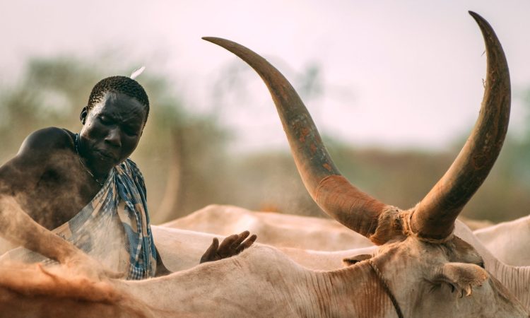 Tribes in  South Sudan
