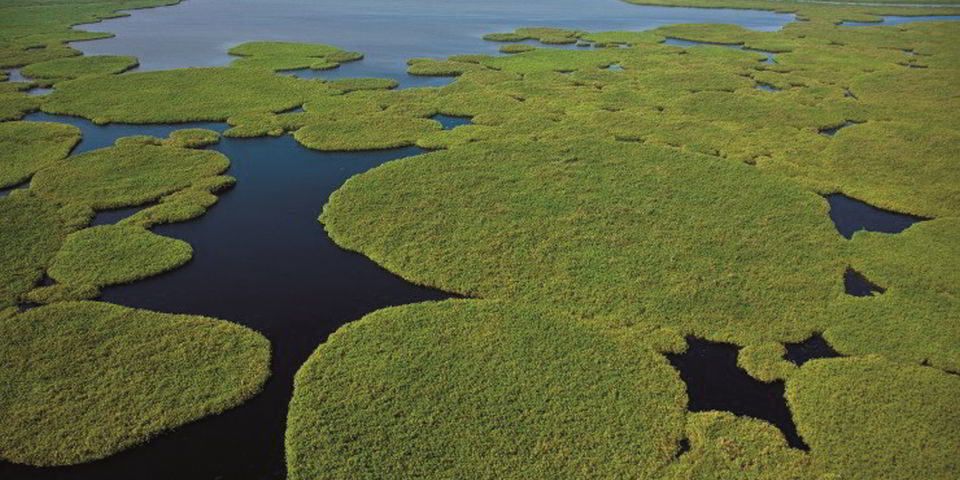 South Sudan Safaris