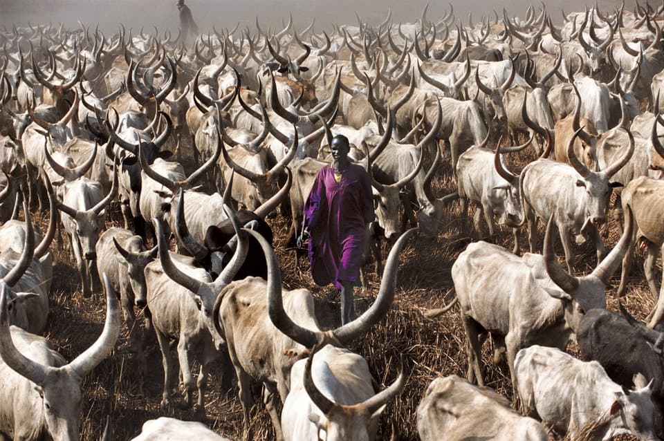 Tribes in South Sudan