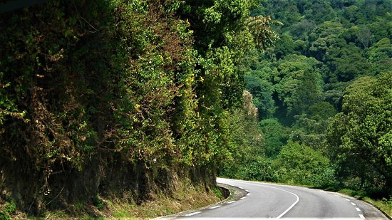 Distance from Kigali to Nyungwe Forest Park