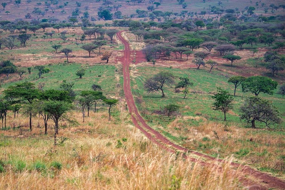 Drive time, distance and route to Akagera National Park