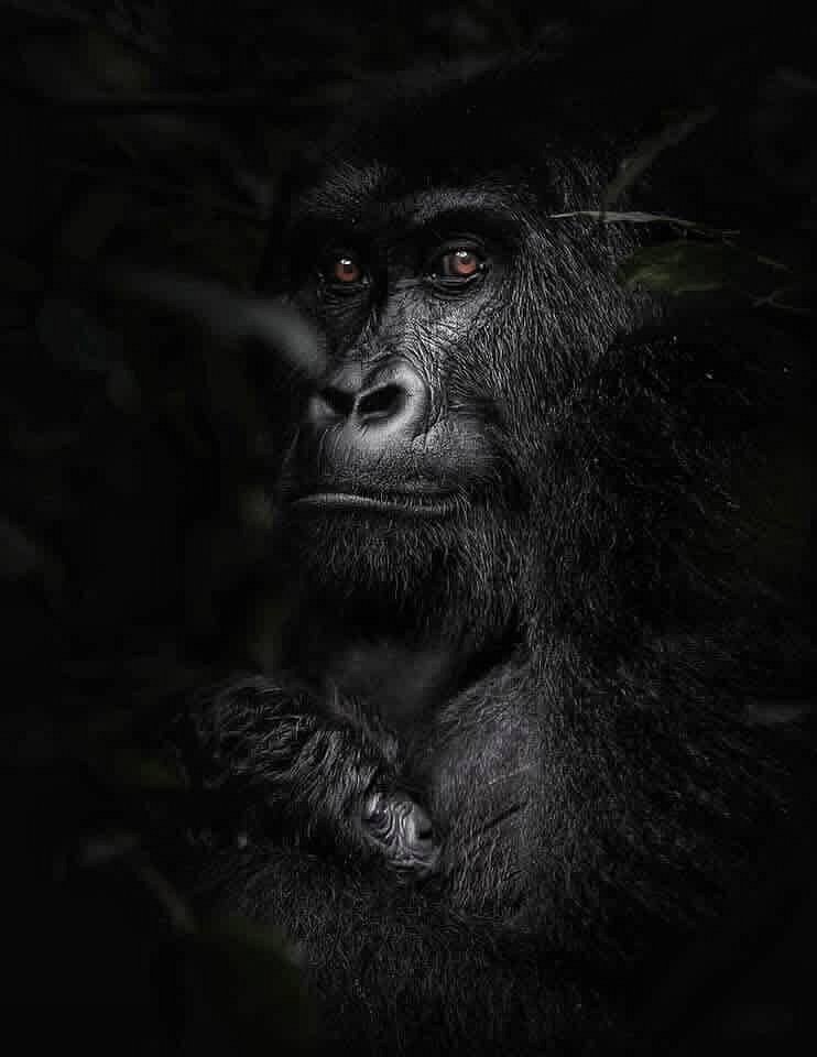 Is Rwanda safe for tourism