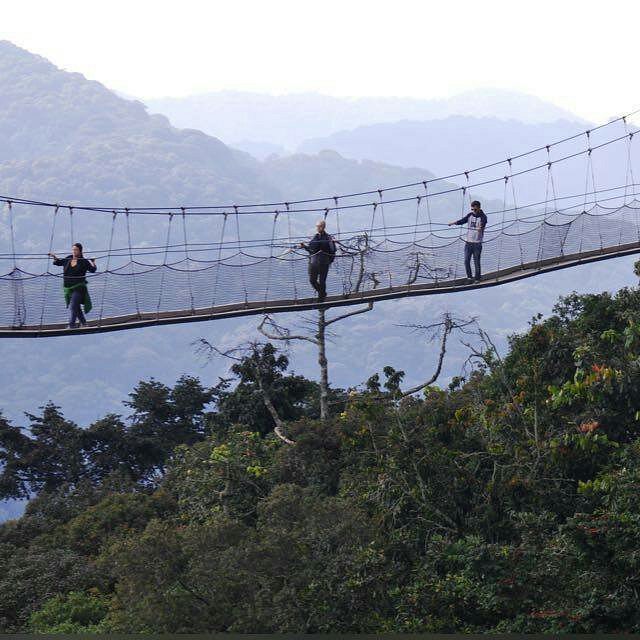 Igishigishi trail in Nyungwe Forest