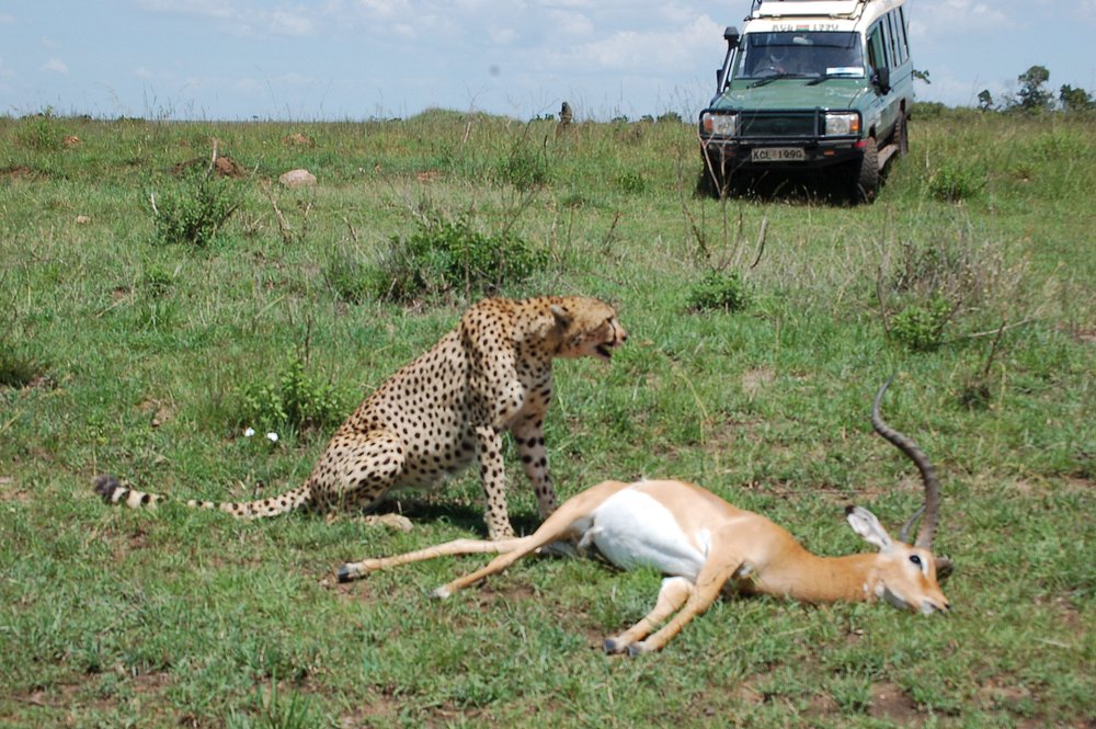 Masai Marta National Reserve