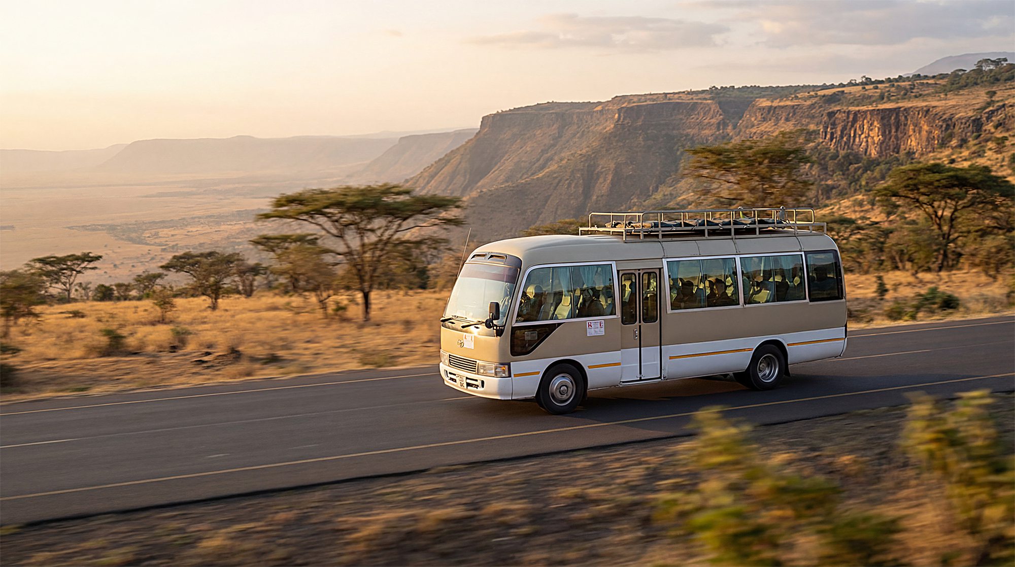 Tanzania and Kenya safaris