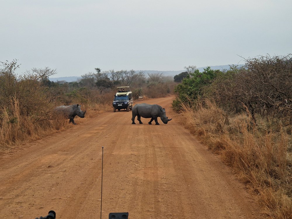 Rwanda gorilla trekking & birding safari