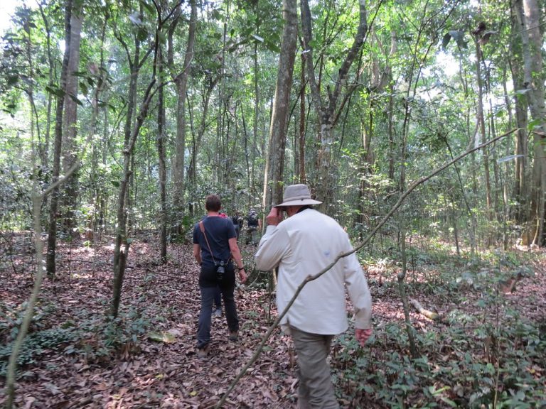Combining gorilla trekking & birding holidays